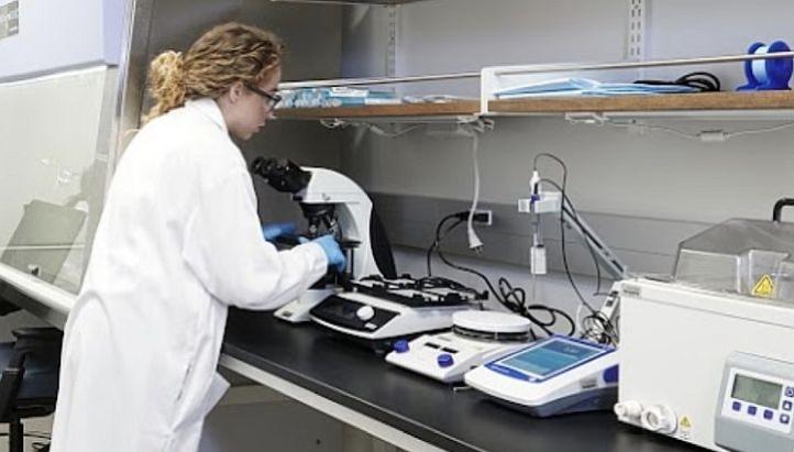 Incubator Lab Bench