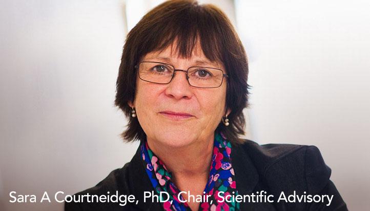 Sara Courtneidge, PhD