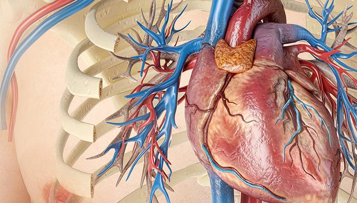 Metabolic Diseases and Endocrinology