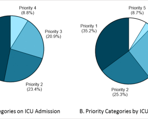 Charts of use of hospital ICUs