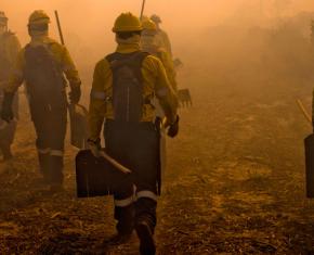 Firefighters walking surrounded by smoke with orange background