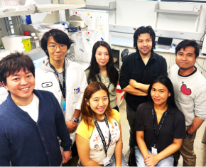 Assembled lab workers
